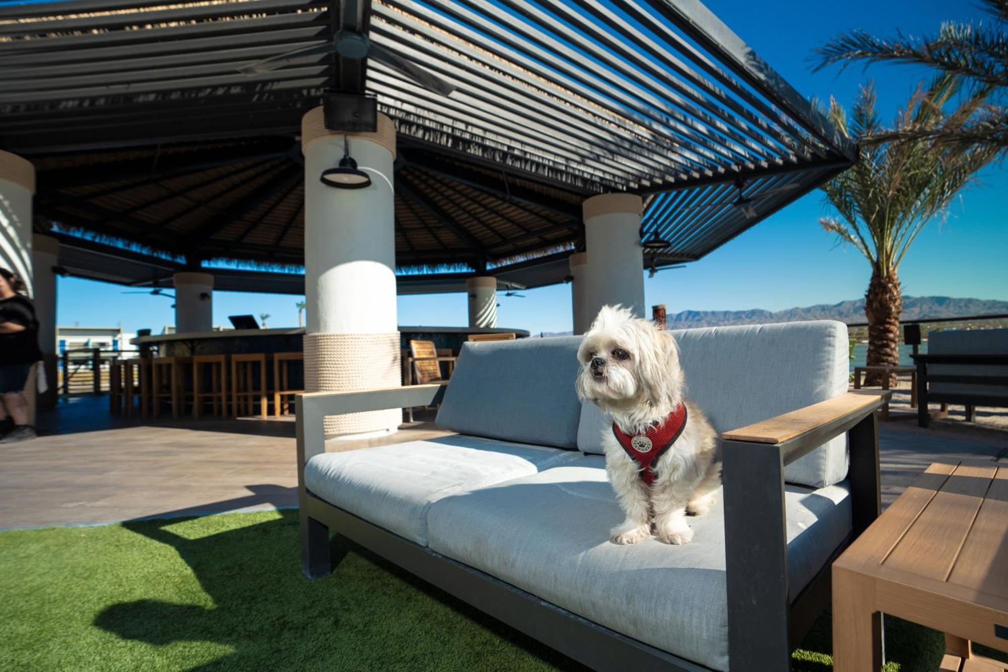 The Nautical Beachfront Resort Lake Havasu City Luaran gambar